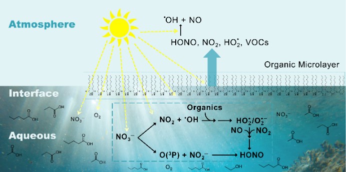 superoxide role in nitrate photochemistry